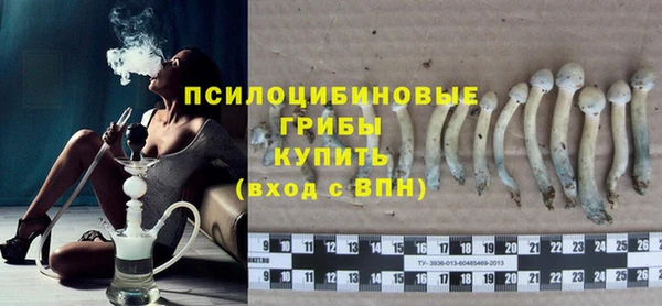 трава Бронницы