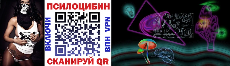 наркошоп  Шенкурск  Галлюциногенные грибы Cubensis 